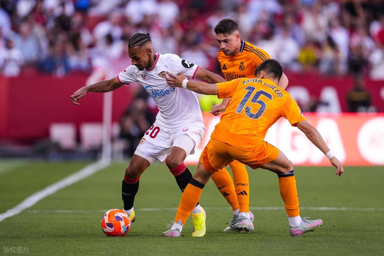 星空体育平台-金牌炮灰在线崩书52